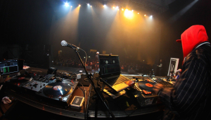 Image of Fakemink: a Terrible Beauty . - The Tour . part 2 .